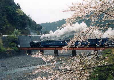 下泉の桜とSL列車