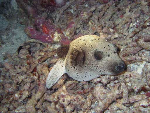 �t���A��������ῂ���������ċN���Ă��Ȃ����I