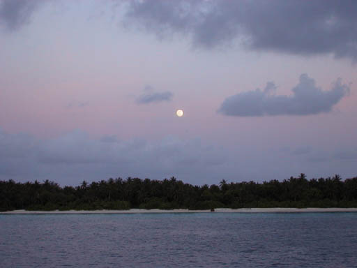 ��������������������i�΁j