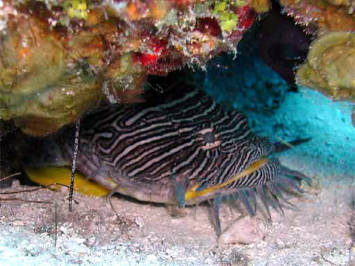 P1010067