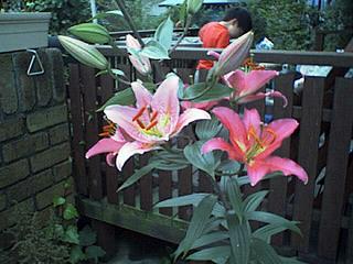 7-2.jpg (19960 oCg)