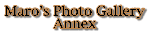 MPG  Annex Title