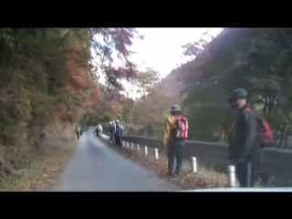 L열_̍gt@܁@2008/11/26