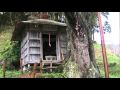 紅しだれ地蔵桜 2010.4.28