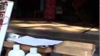 柳橋菅布禰神社秋季例大祭 1 2013.10.12