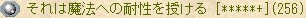 それは魔法への耐性を授ける [*****+] (256)