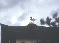 tR
