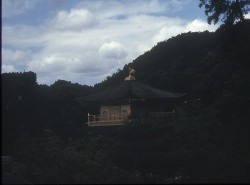 tS