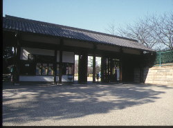 É铌
