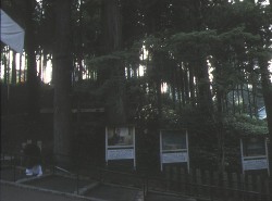 ֍~Ki