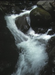 ̑R