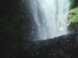 ̑PO