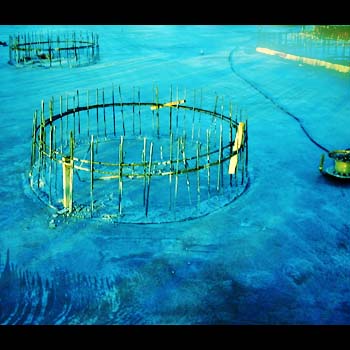 a construction site 9812