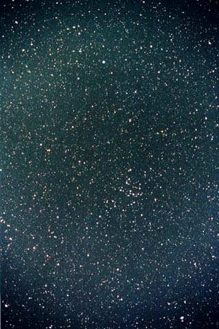 Coma Berenices and Canes Venatici