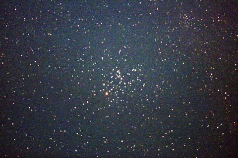 Scorpius さそり座