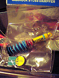 bilstein.jpg (25559 oCg)