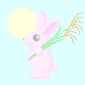 Rabbit&mba02.gif