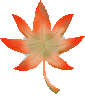 momiji01.gif