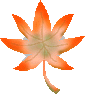 momiji02.gif