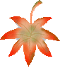 momiji03.gif