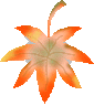 momiji04.gif