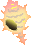 Shell05.gif