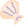 Shell10.gif