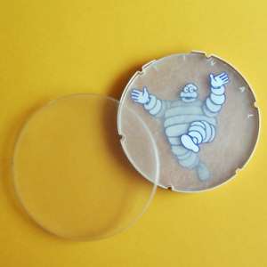 �������@���������������@���������������@�r�u�@�p�Y���@�R�[�X�^�[