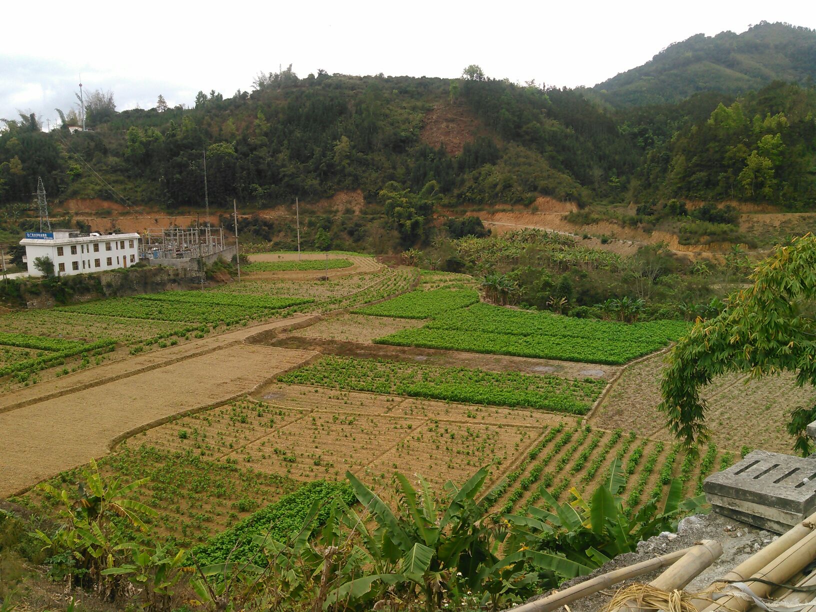 現地の風景2