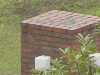 r2.jpg
