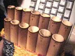 sanp-1.jpg