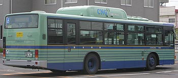 ���̖�(�c)�ɂ�