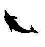 CJ