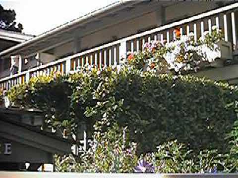 09 0910_00002.JPG
