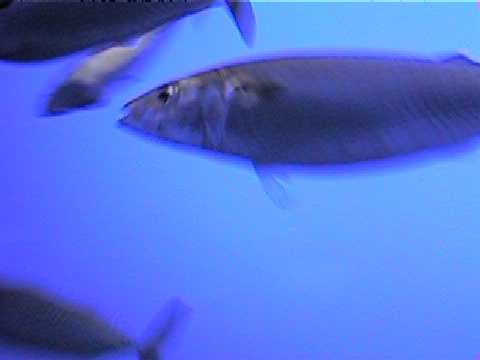 09 0910_00002.JPG