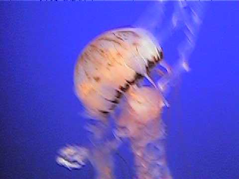 09 0910_00002.JPG