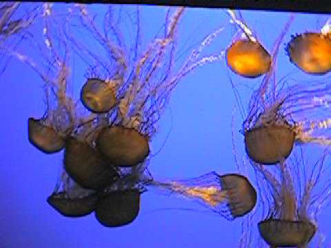09 0910_00002.JPG