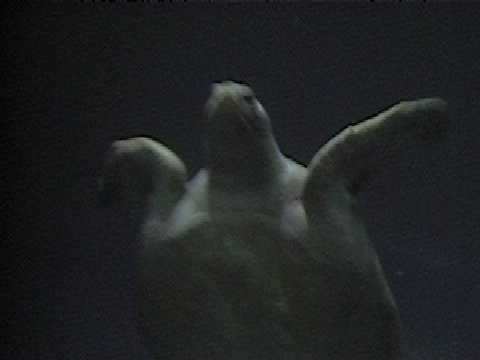 09 0910_00002.JPG