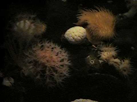 09 0910_00002.JPG