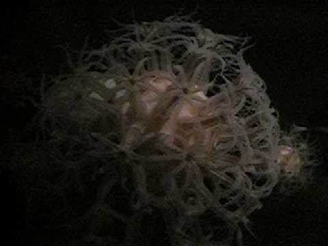 09 0910_00002.JPG