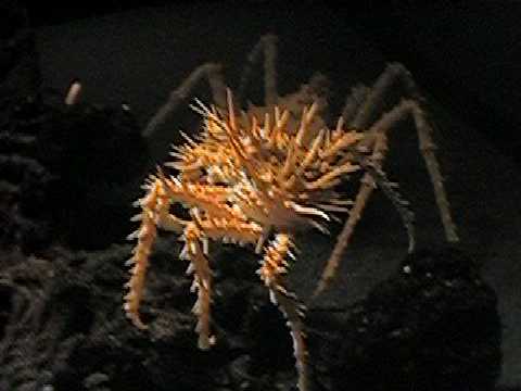 09 0910_00002.JPG