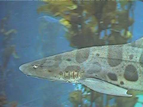 09 0910_00002.JPG