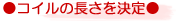 �R�C���̒���������