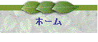�z�[��