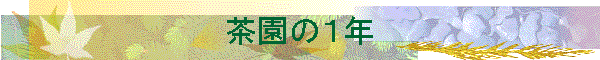 �����̂P�N
