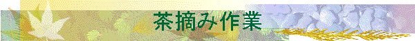 ���E�ݍ��