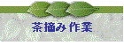 ���E�ݍ��