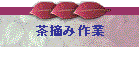 ���E�ݍ��