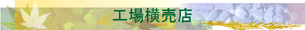 �H�ꉡ���X