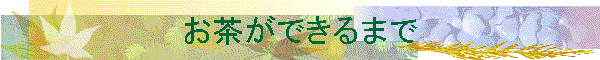 �������ł���܂�